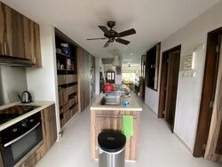 Sungrove (D5), Semi-Detached #497595841